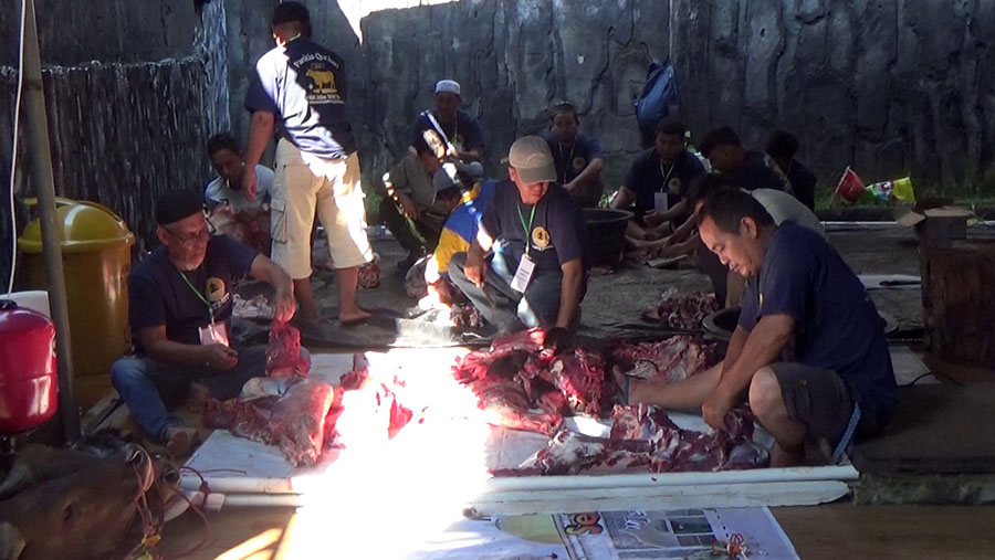 Pentingnya penyaluran hewan kurban secara tepat sasaran kepada masyarakat yang membutuhkan. Foto: M Aidil – PALTV