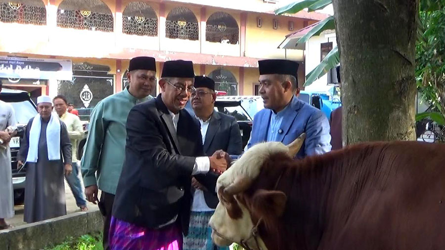 Sekda Palembang Aprizal Hasyim menyerahkan seekor sapi kurban dari Pemkot Palembang ke Panitia Kurban Masjid Al Fathul Akbar. Foto: Ekky Saputra -- PALTV