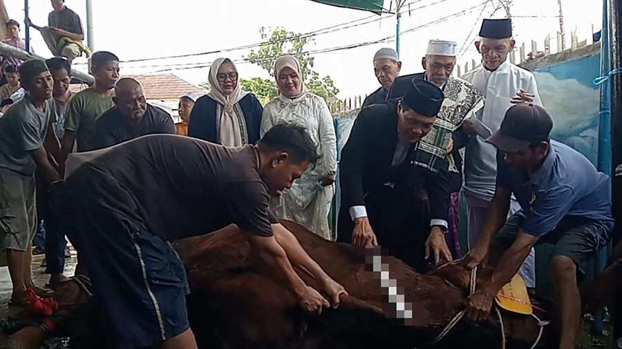 Bupati dan Wabup Muara Enim melakukan penyembelihan hewan kurban secara simbolis. Foto: Mardiyansyah -- PALTV